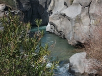 cantara piccole gole19022012 147